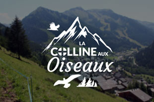 Chalet La Colline aux Oiseaux - location appartement chatel, logement chatel, chatel location appartement, location chalet chatel particulier